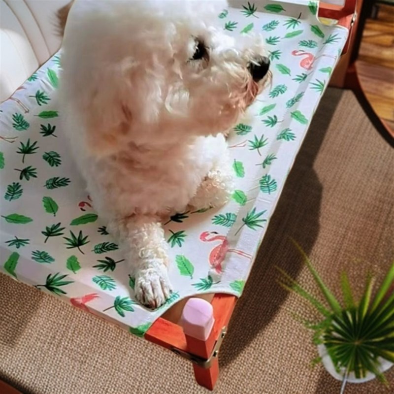 居家夏季宠物床垫席梦思床室内外浴室隔潮防虫离地整洁易拆洗凉垫