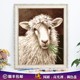 饰油彩挂画 diy数字油画绵羊动物自己上色填充涂画减压装 新款 欧式