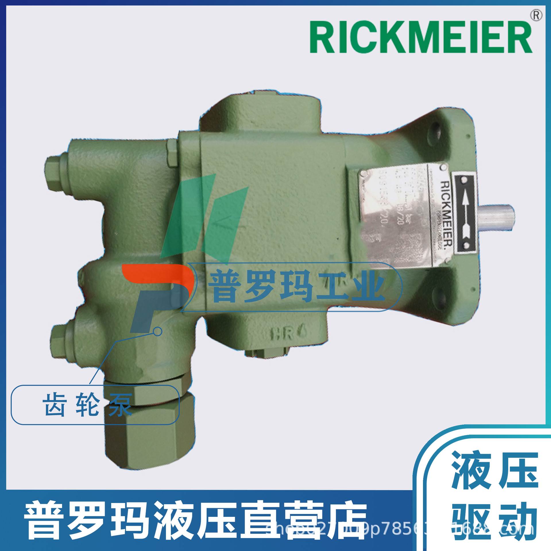 液压齿轮泵R35/31.5/50/63/80 FL-Z-W-SAE2-R-SO燃油分油机供给泵