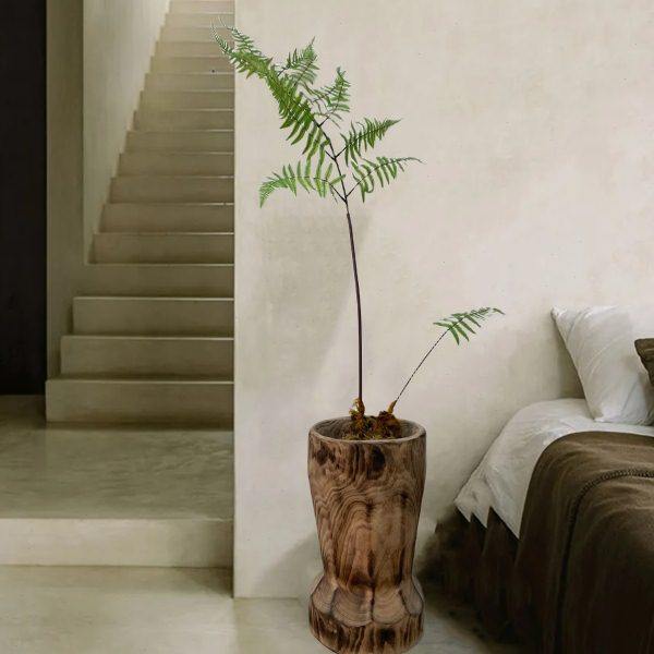 侘寂风绿植落地花器整挖实木桶民宿茶室造景植物装饰品摆件大花瓶,家居饰品,落地摆件,淘宝优惠券,粉丝福利购,淘宝优惠卷