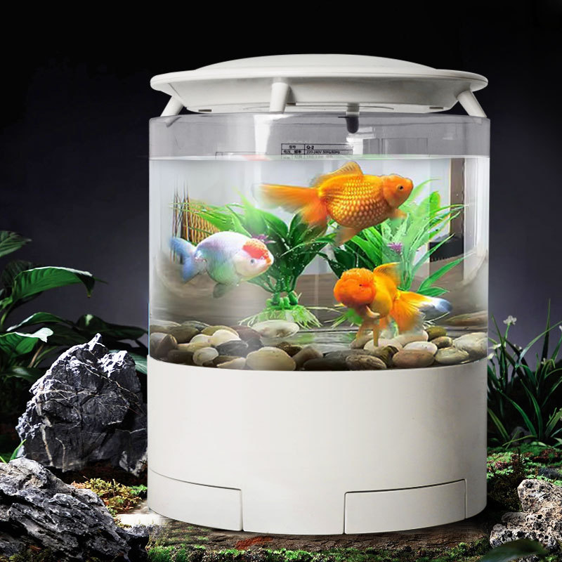 圆柱鱼缸水族箱免换水懒人鱼缸桌面金鱼缸带灯过滤水泵