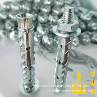 TGQ穿山 抢完恢复265元 刺砌块锚螺栓膨胀丝 抢4000件 21加2元