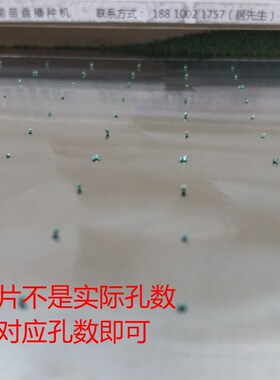 芹菜籽育苗盘播种器穴盘点子机105/128/200/288孔数等