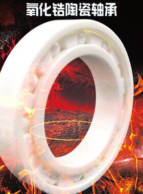 全陶瓷满珠密封轴承608 6006 6007 6008 6009 6010 6011CE