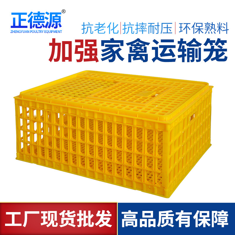厂家批发加厚鸡用运输笼鸡周转箱塑料家禽运输鸡笼鸡鸭鸽子周转箱