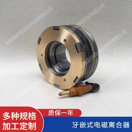 DLY10-400A DLY10-600A EZB牙嵌式电磁离合器