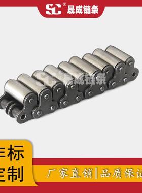 专业热生产厂家理高精度双距双排顶滚轮输送链条20处4节0RRX2LR