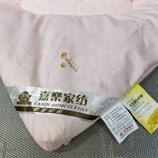 家用保冬被春大秋暖绒大豆被加厚被芯亲肤豆暖绒被暖子绒冬被水洗