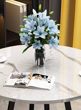 轻奢洽谈桌小圆桌家用餐桌售楼处会客小桌室子PZN办公圆桌形m圆阳