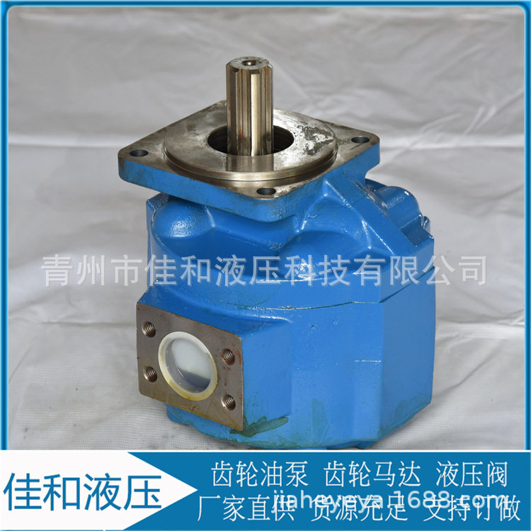 厂家供应   14齿液压齿轮马达 多种规格 运行稳定 噪音低