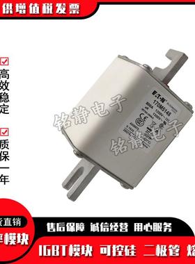 1170M592170M513170M51IBR94巴斯曼170M59195熔断器现货型号齐全