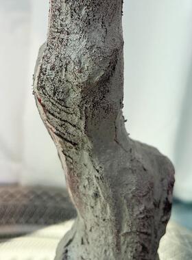 025新款亚马逊2型橱仿真植物网红橄榄YF230008树假绿植盆栽窗装饰