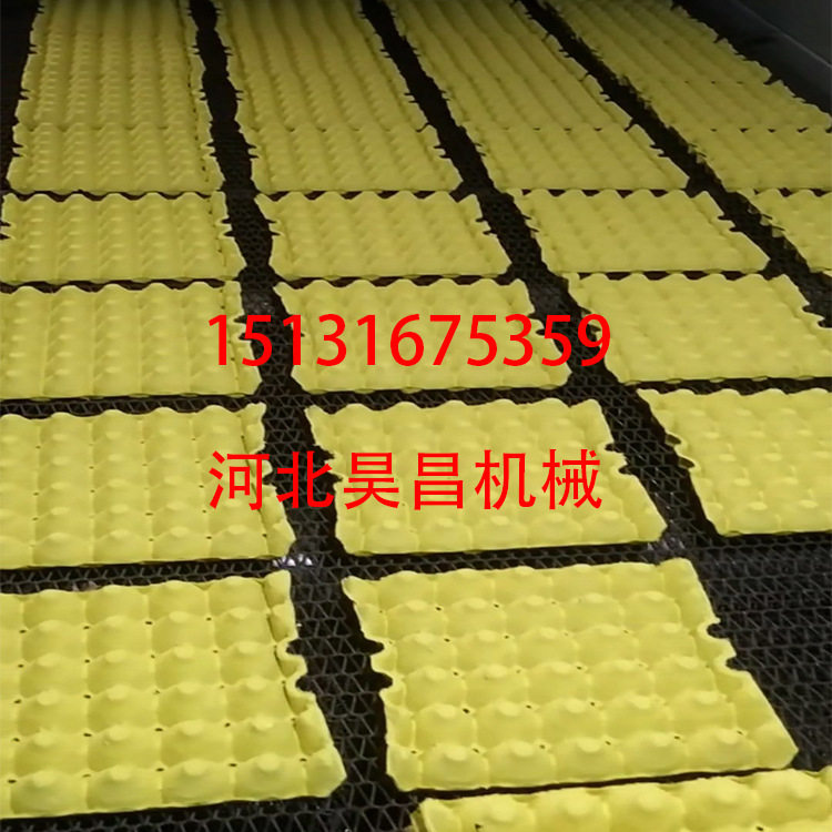 大型纸托设备 鸡蛋托盘 蛋盒 饮料水果托盘工业包装设备