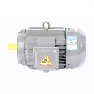 20k达2电动ECZ机250kw280 4级YwE2三相异步电机132kw160 200马
