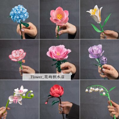 潘洛斯超值国产拼装积木花束