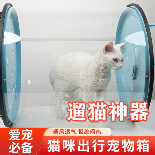 遛猫神器2.0宠物出行箱