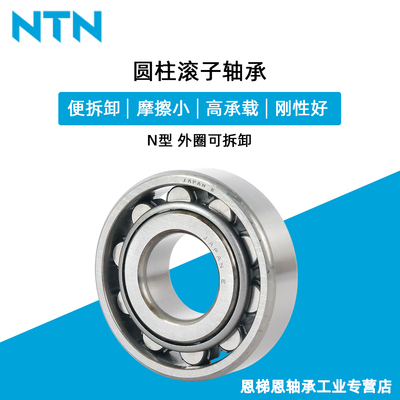 日本NTN N313 314 315 316 317 318 319 320E EA ET G1 进口轴承