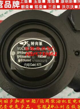 玉柴发动机原厂配件6105/YC6108/YC6A/6J助力泵J12J1转向泵
