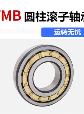 天马TMB圆柱滚子轴承N NU NJ1004 1005 1006 1007 1008 1009EMP6