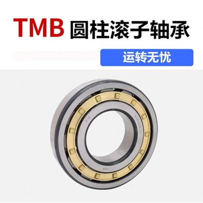 天马TMB圆柱滚子轴承N NU NJ1004 1005 1006 1007 1008 1009EMP6