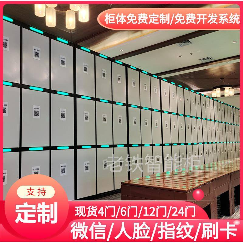 智能自编密码寄存柜/存包柜/储物柜/景点景区/俱乐部联网存取柜了