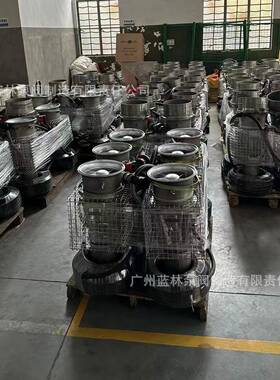 10寸便携式永磁防洪泵10SZQ-HL-30排水抢险排水潜水泵