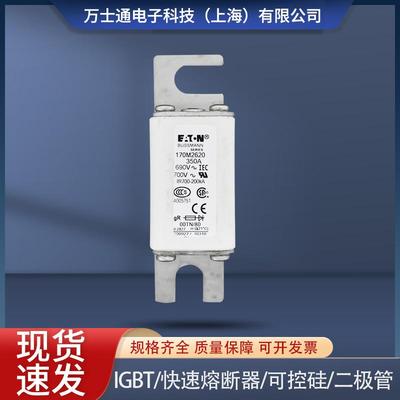 170M2608170M2609170M2610170M2611170M2612170M2613熔断器现货