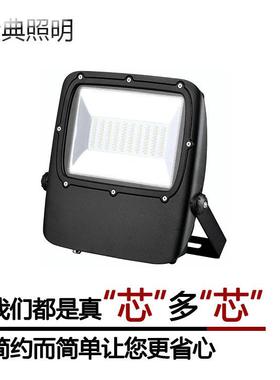 JD-F017100Wled投光灯泛光灯集成SMDLED庭院灯