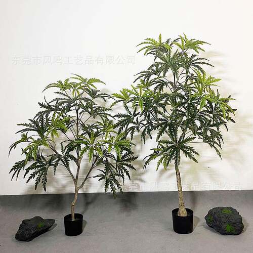 仿真孔雀木植物树家居装饰假植物落地绿植盆栽室内大型孔雀木绿植