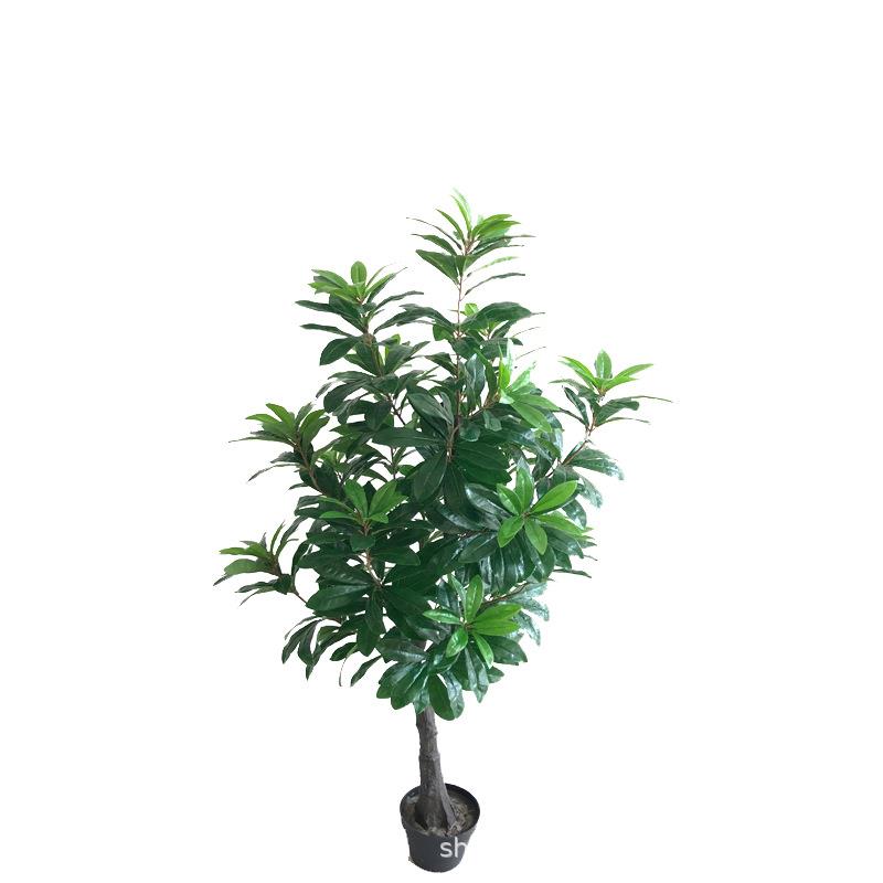 仿真绿植圣生梅迷你小盆栽杨梅果假树叶树梅灌木落地装饰