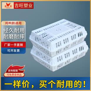 吉旺塑料鸡鸭运输笼周转笼鸽兔运输笼家禽周转筐成鸡周转筐