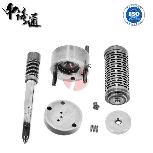 电喷共轨0445110249修理包配件dlla155p1514f00vc01349