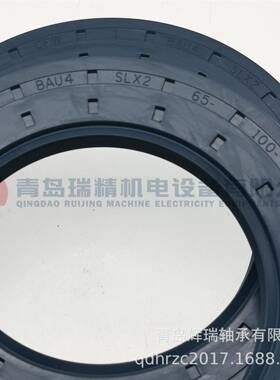 CFW密封件BAU4SLX2-65-100-12/8进口油封65mmX100mmX12mm