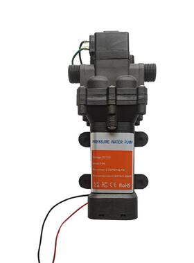 DP160隔膜泵12V24V洗车机10L每分钟12L大流量浇花智能水泵4分接口