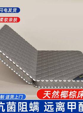 椰棕床垫家加厚宿舍学生单垫人用榻米子BLY海绵垫褥榻子租房专用