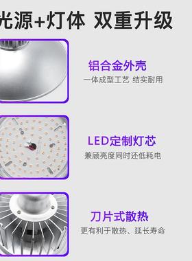 多肉光小功率led32256光补谱植物生长灯室内大灯棚绿全植多肉补光