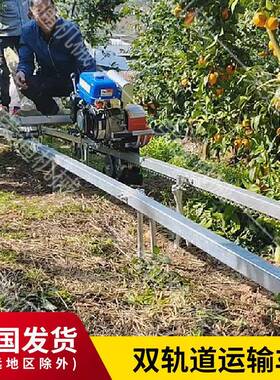 型农作物动果园移自输走式搬运装卸DDE牵引车山地小多功能单轨运