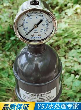 UPV式C容积脉器冲阻尼器计泵LGMK空气式量YBM脉冲阻尼缓冲罐缓冲