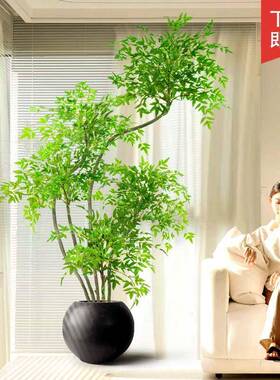 仿室真栽绿植南天竹假植物高端内轻奢客厅装饰树大OWP型盆落地摆