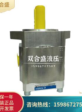德国艾可勒ECKERLE齿轮泵EIPC6-125/160RK2/RA23-11液压泵油泵