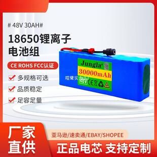 电动自行车电池48v30Ah18650锂离子电池组13串3并+充电器