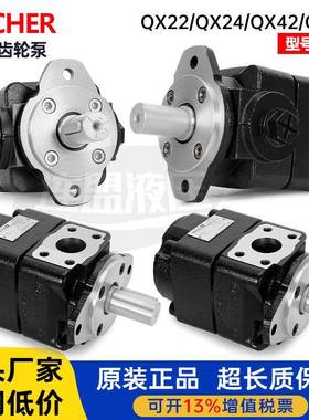 bucher布赫齿轮泵QX液压QXEH油泵QXM德国QT/22/31/32/41/42/52/61