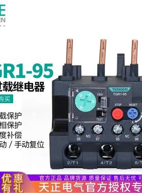 TENGEN天正TGR1-95电动机热过载保护继电器JR28-93JRS1DNR2-93