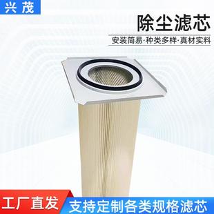 生产除尘滤芯工程机械配件XM C1165喷砂抛丸机静电喷涂滤芯
