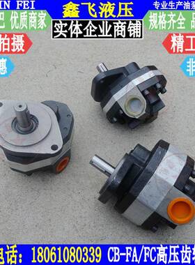 CB-FC10FC16FC20FC25FC31.5FC32FC40高压齿轮油泵FL液压泵