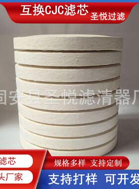 煤矿工程车滤清器PA5601349BGN15/25精细过滤器滤芯