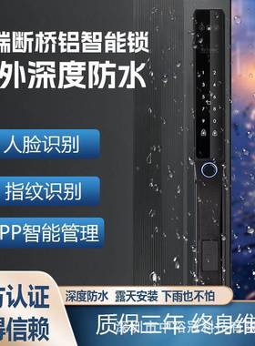 205畅销智能断桥能铝锁门HSW锁支2持人脸识别庭院门外深度防水智