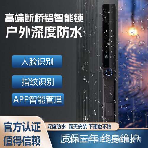205畅销智能断桥能铝锁门HSW锁支2持人脸识别庭院门外深度防水智
