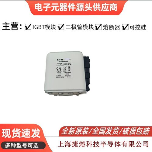 170M6419 170M6420 快速低压熔断器 直流 熔芯 电子元器件 现货