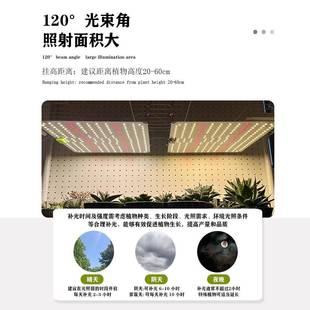 ED植物灯IIL0W大室内棚温室补光灯6植物育苗种植光照量子板生长L